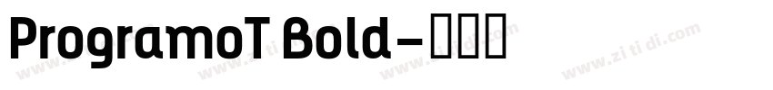 ProgramoT Bold字体转换